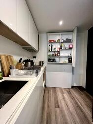 Skysuites@Anson (D2), Apartment #468104811